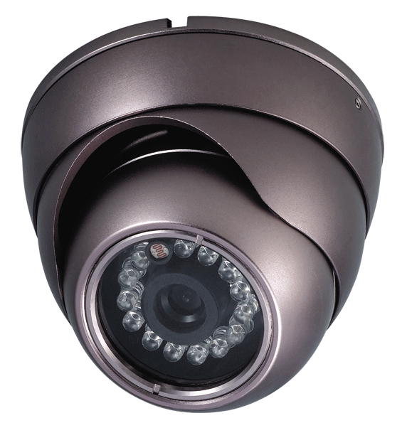DV-2333SRA Camera with audio